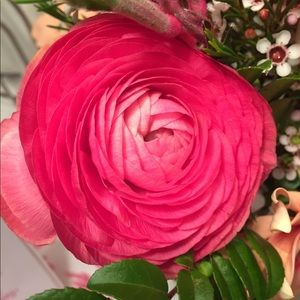 Meet your Posher, Kristina